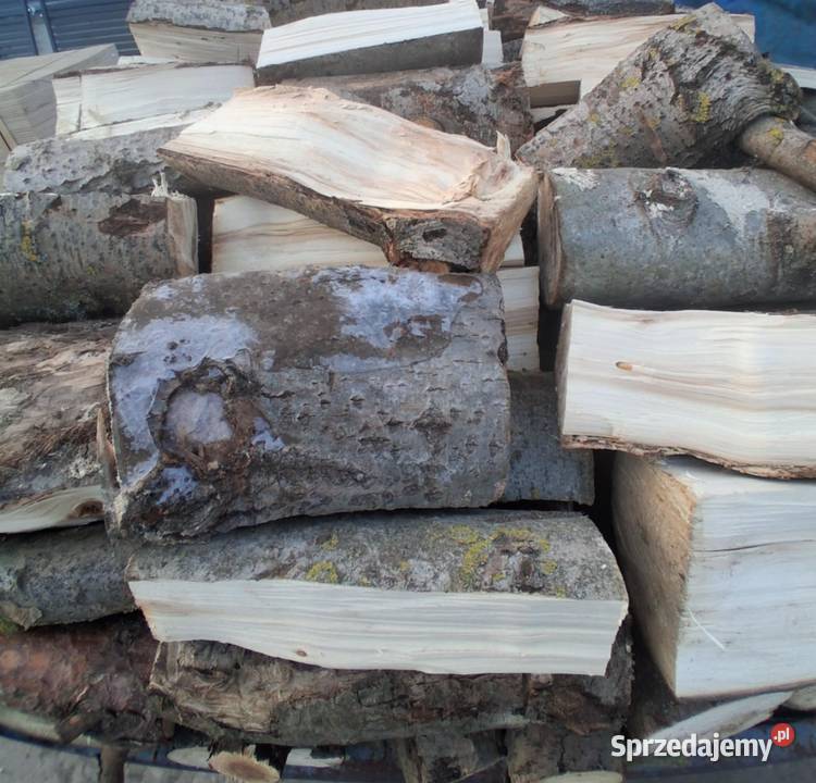 Drewno opałowe w 250 m3 Brzeźno