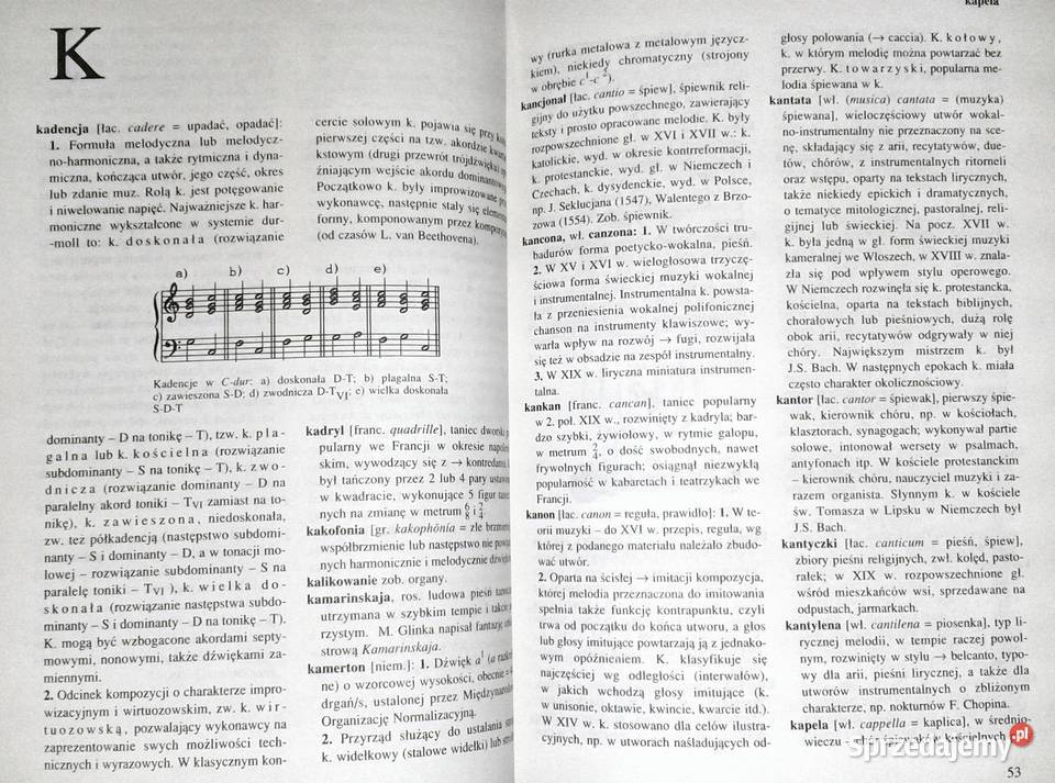 Muzyka Słownik Szkolny Irena Poniatowska lubelskie Chełm sprzedam