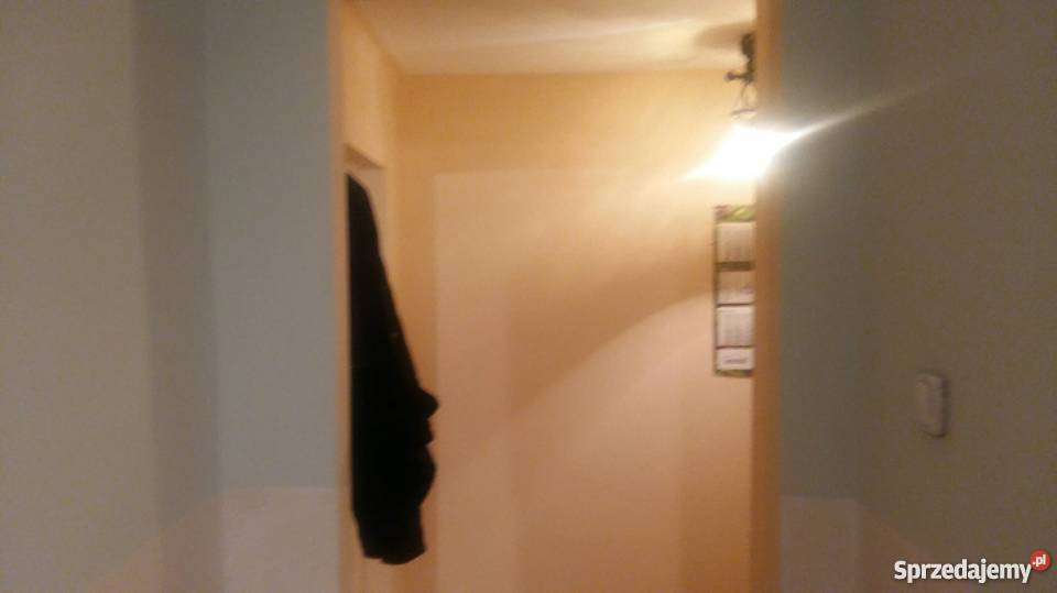 Kawalerka Nisko Nisko