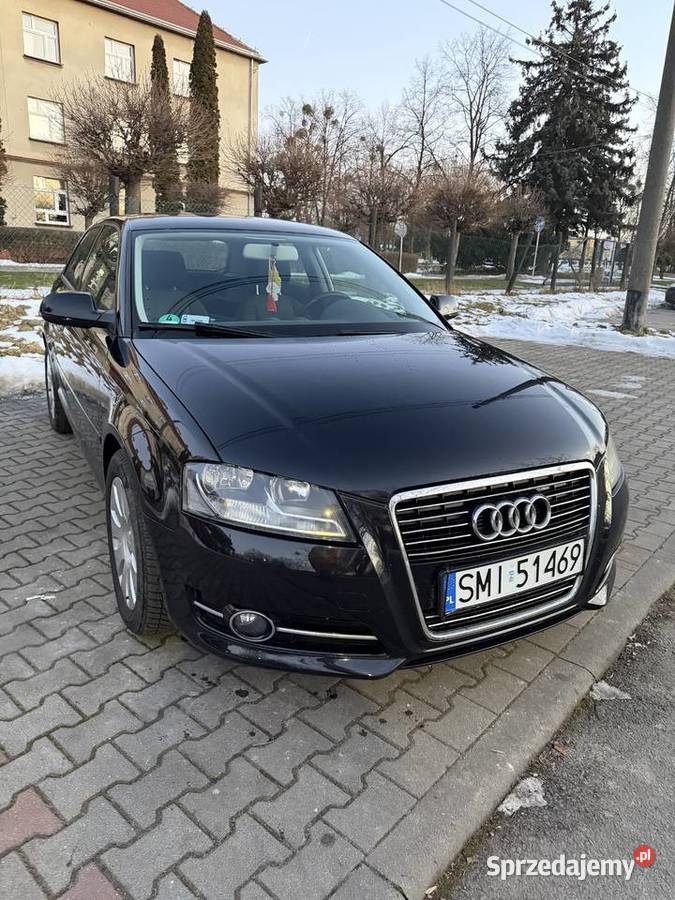 Audi a3 8p 16 TDI COMMON RAIL LIFT OKAZJA 220 Rok produkcji 2010 Orzesze