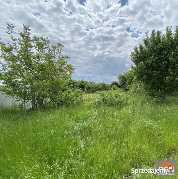 sprzedaży gruntu Golczewo 23226m2