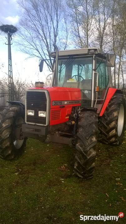 Massey Ferguson 3075 Stara Huta sprzedam