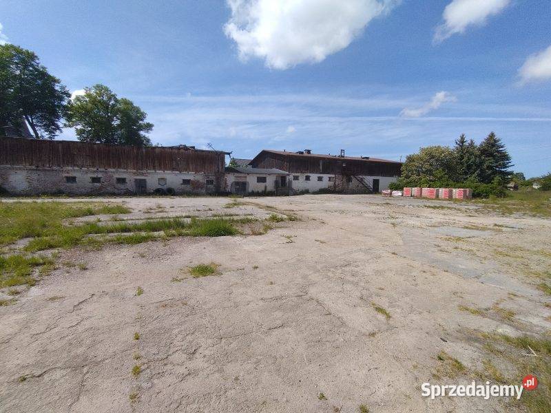 Syndyk sprzeda nieruchomość z budynkiem Sucha Koszalińska sprzedam