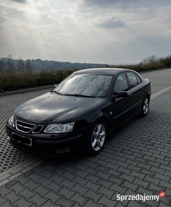 Saab 93 Rzepiennik Strzyżewski