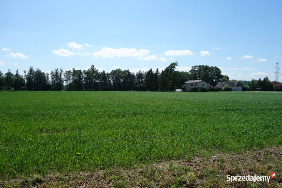 Skoczów Ochaby 162ha z prawem zabudowy pod 58zł/m2 Sprzedaż Katowice
