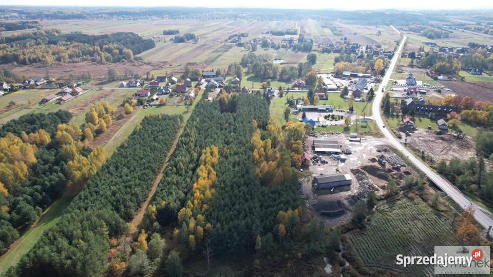 Ogłoszenie grunt 7600m2 Majdan Sieniawski Sprzedaż