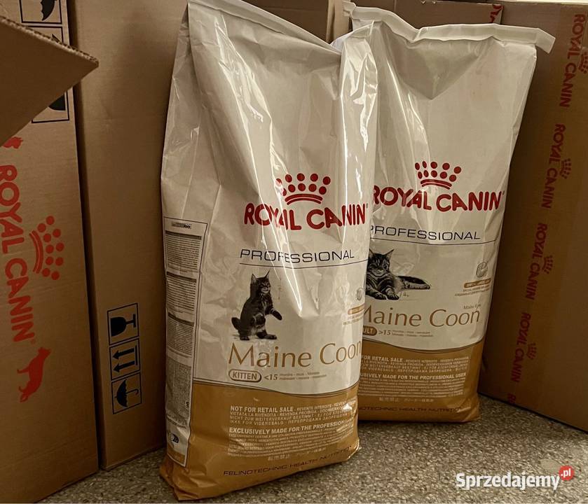 Każda RC Brit Maine Coon 15 Worek Kitten Adult Warszawa