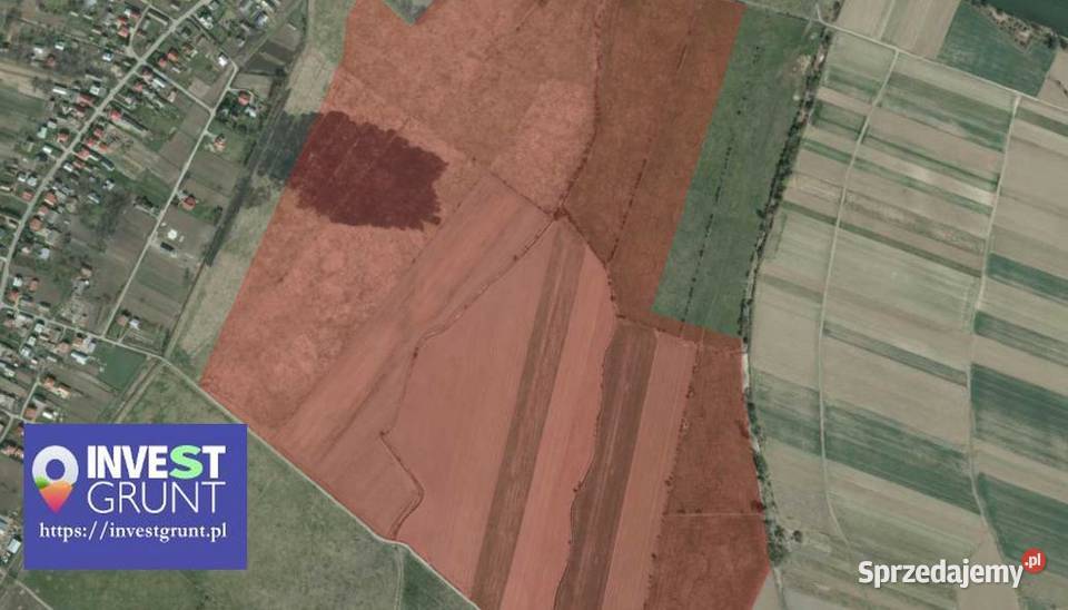 2125 ha grunty rolne przetarg na dzierżawę Wyszatyce