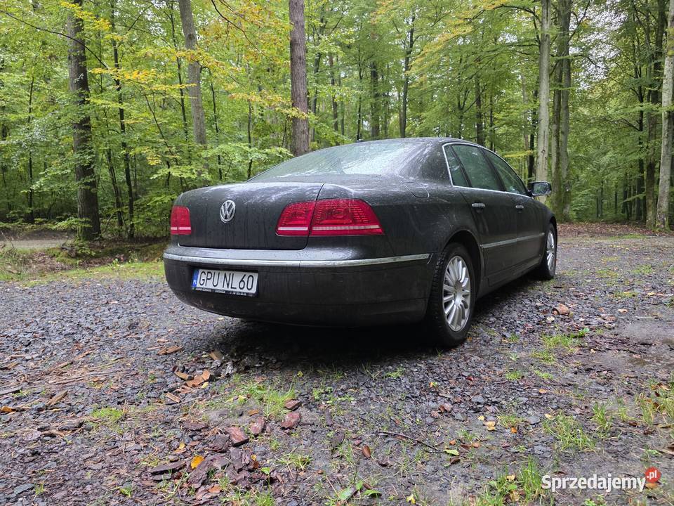 Vw Phaeton 244849km Leśniewo sprzedam