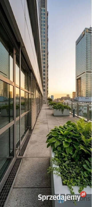 Ogłoszenie lokal 393m2 Warszawa sprzedam