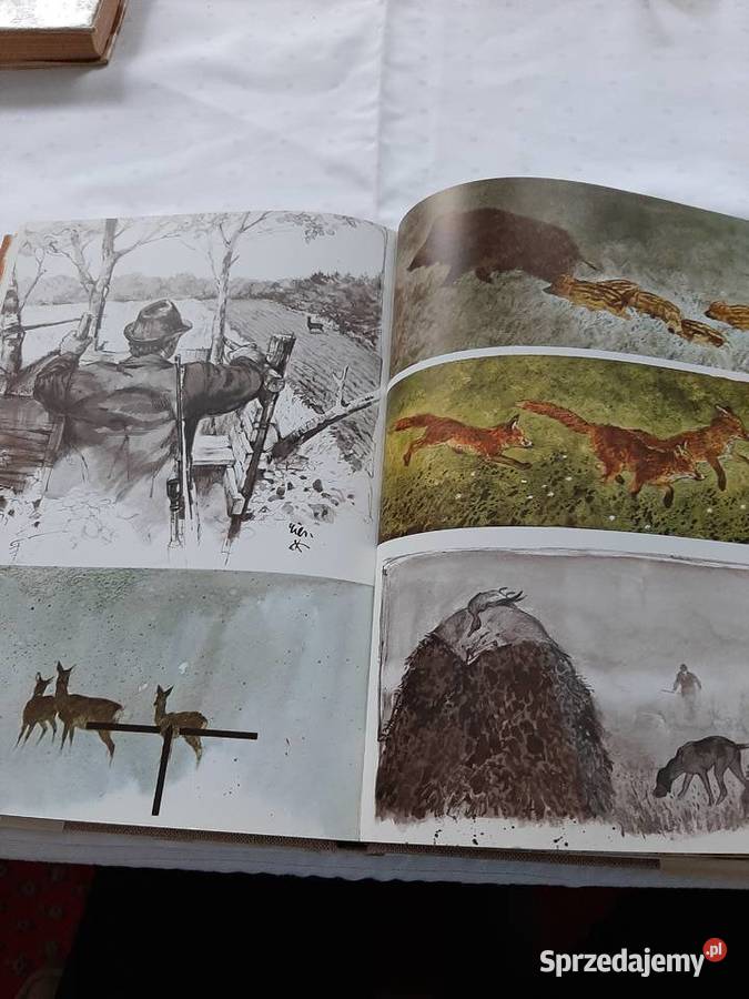 Auf der Jagd na polowaniu dolnośląskie