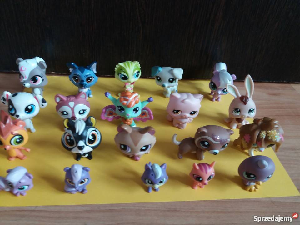 Littles Pet shopy z mebelkami Kielce