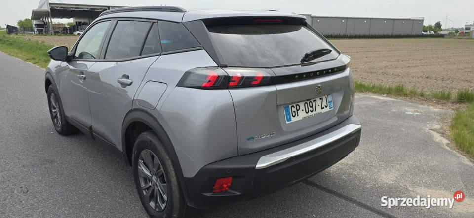 Peugeot 2008 2008 8 II 2019 przyciemniane szyby wielkopolskie