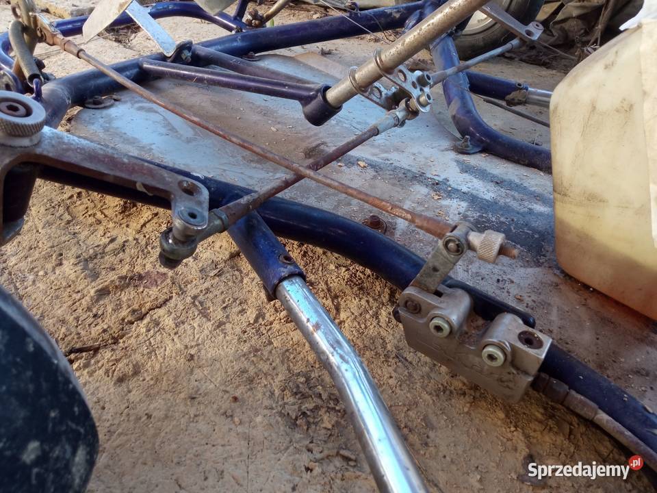 Sprzedam gokart 125 rotax 2t sprawny Hadle Kańczuckie sprzedam