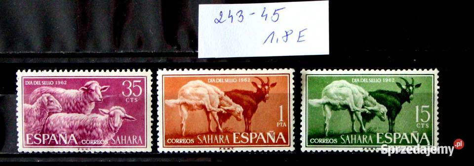 Sahara fauna Oborniki