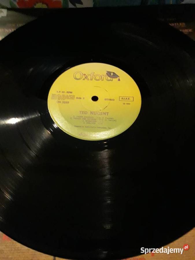 TED NUGENT Amb The Amboy Dukes rock Rzeszów