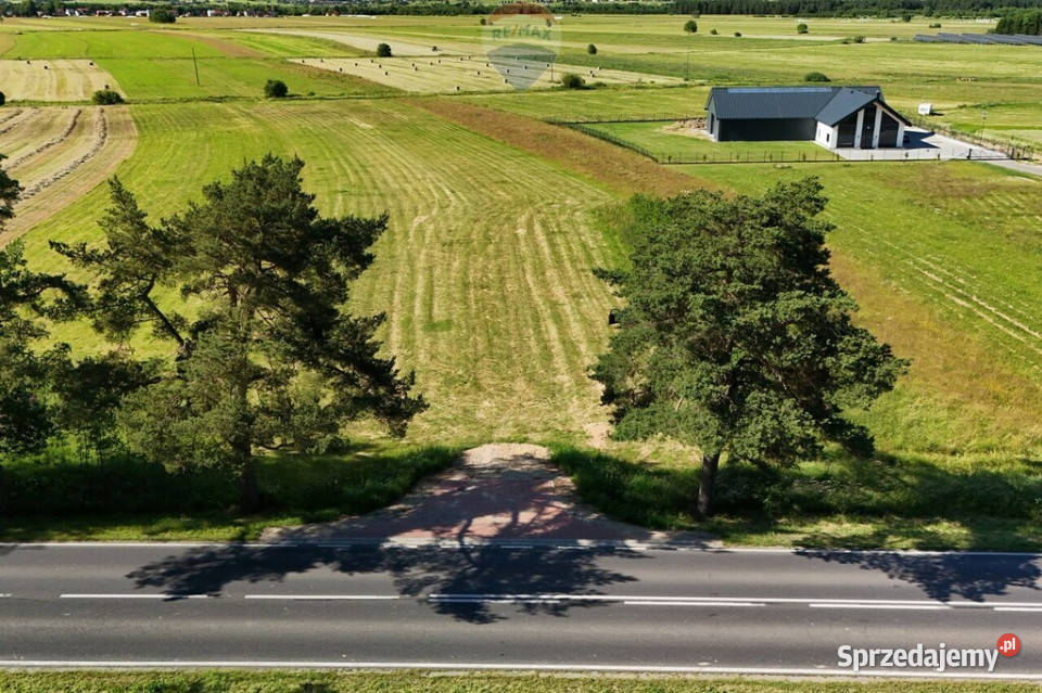 Dzierżawa działki 15 ha w Wróblówce Wróblówka