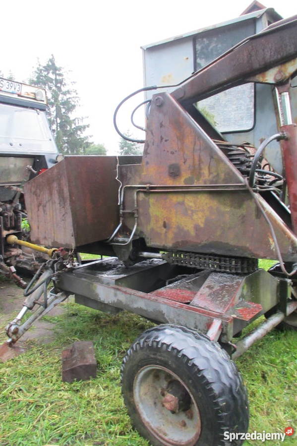 Cyklop Polski nieuszkodzony