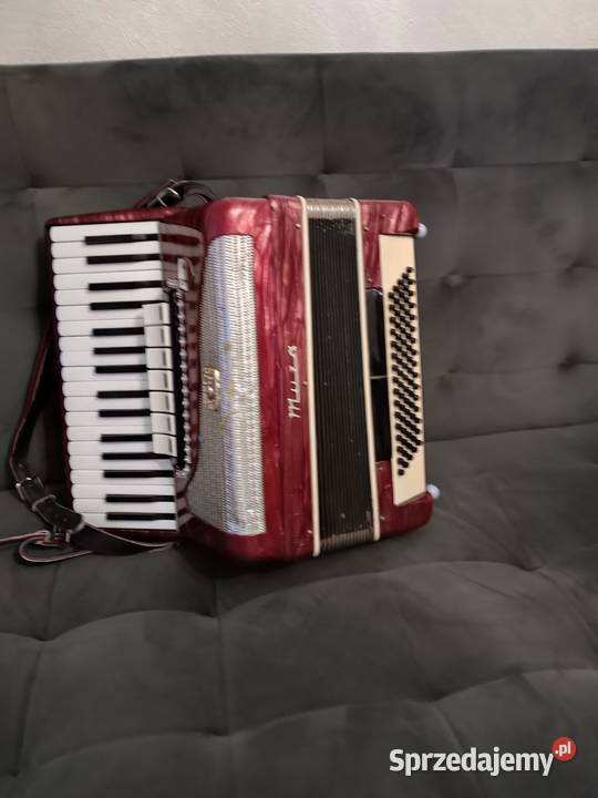 Akordeon muza 80 basów podkarpackie Ropczyce