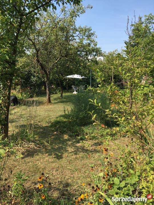 Ogródek dzialkowy Wroclaw Stalowa prawie 500 m Wrocław sprzedam