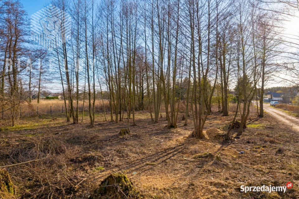 Działka Warszawa Sielska 1128m2 mazowieckie sprzedam