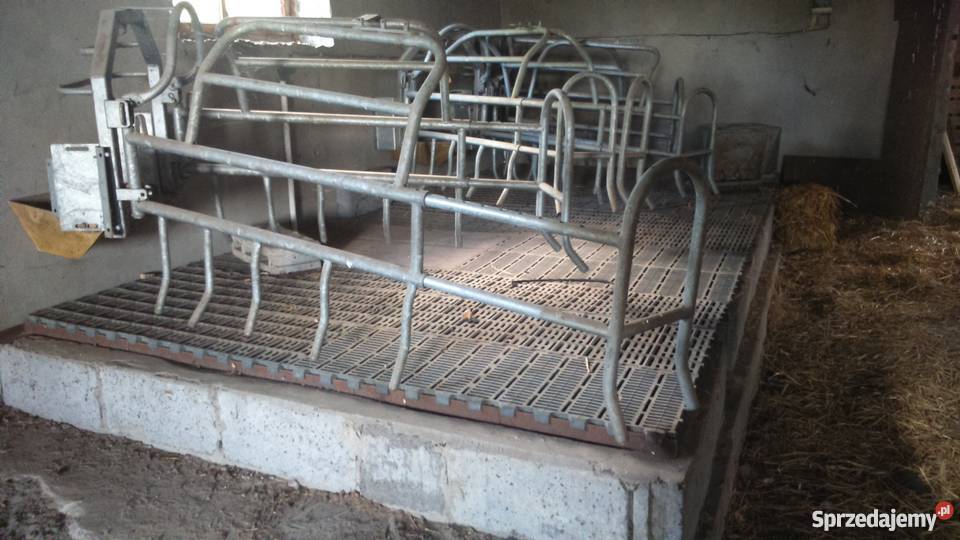 Porodowka macior prosnych Swoboda sprzedam