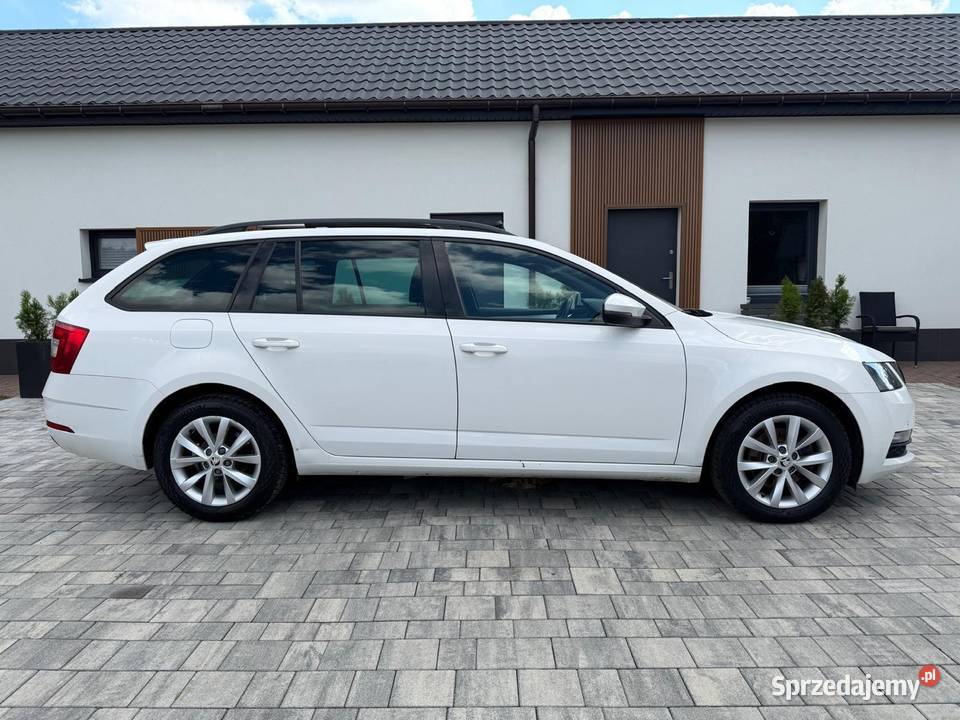Dsg Tanio Turek