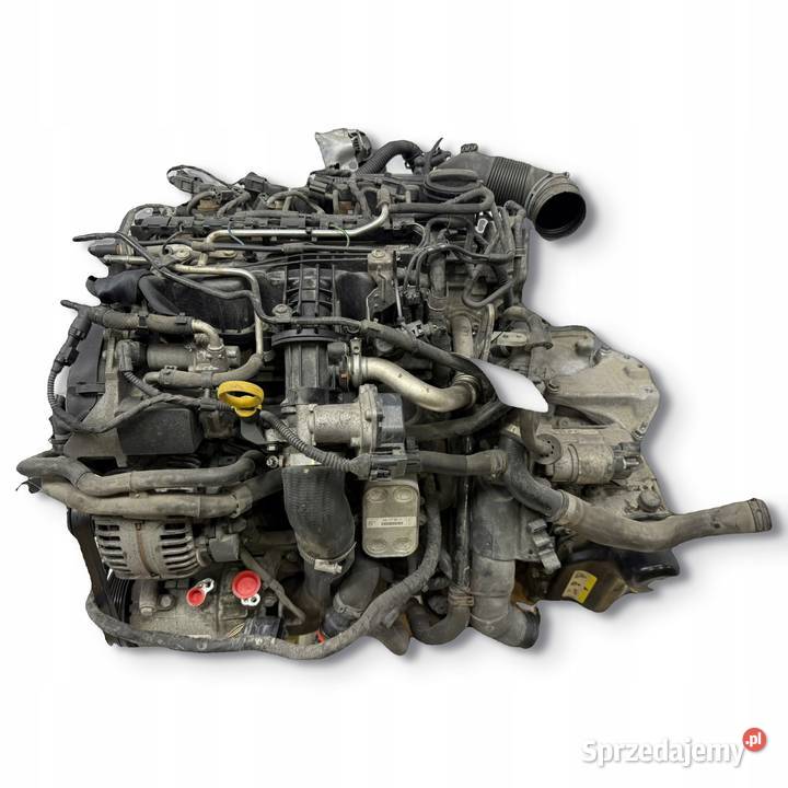 SILNIK CAY CAYD VW Caddy III IV 16 TDI 102 osobowe Chełm sprzedam