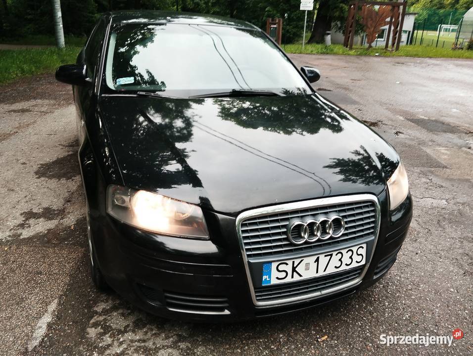 Audi A3 8p 19TDI bogate wyposażenie Hatchback