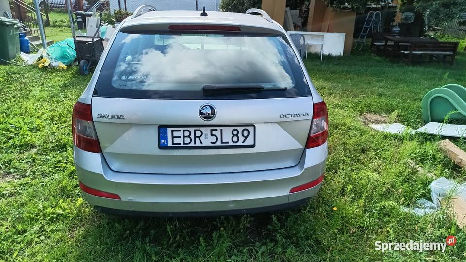 Skoda Octawia 3 Rogów