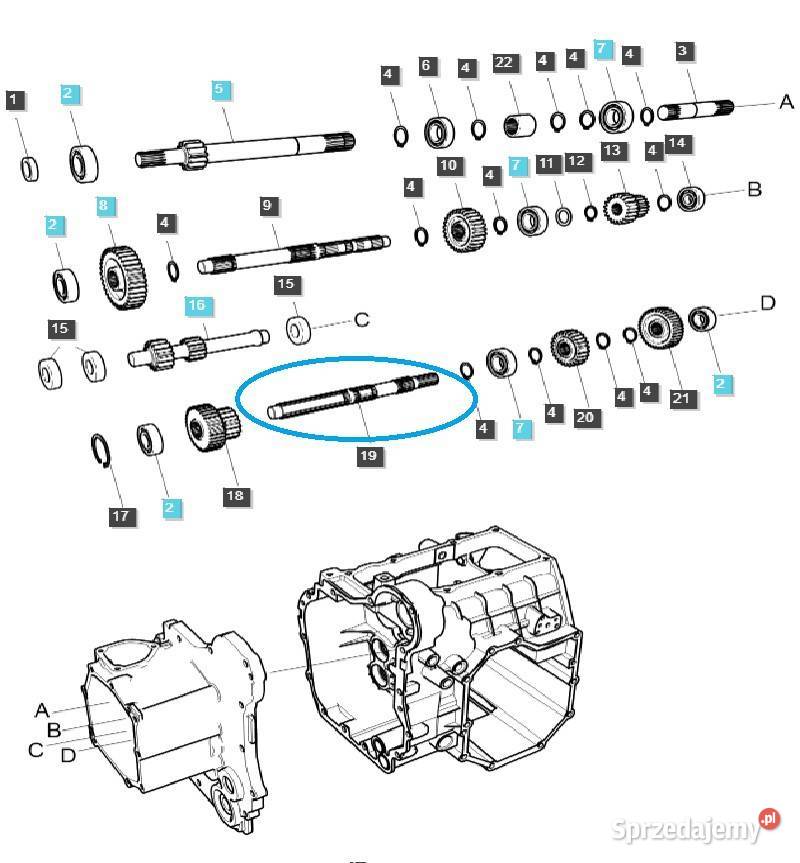 Wałek skrzyni biegów TRG281 LS Tractor 40292090 Tajęcina