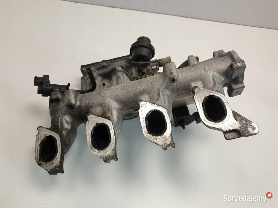 Renault Scenic III 19 DCI ZAWÓR EGR chłodnica Rudka