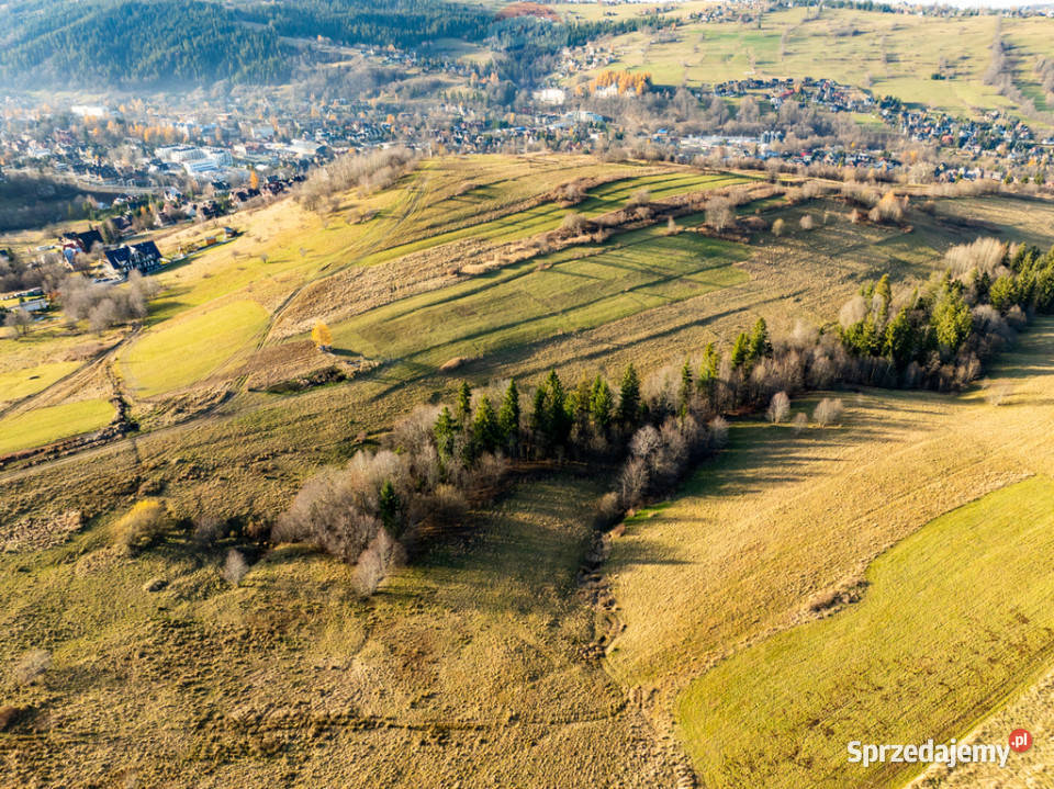Działka rolna 29ar w Zakopanem Bachledzki Wierch małopolskie