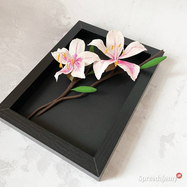 Bauhinia kwiaty w ramce Obrazki i obrazy Zielona Góra sprzedam