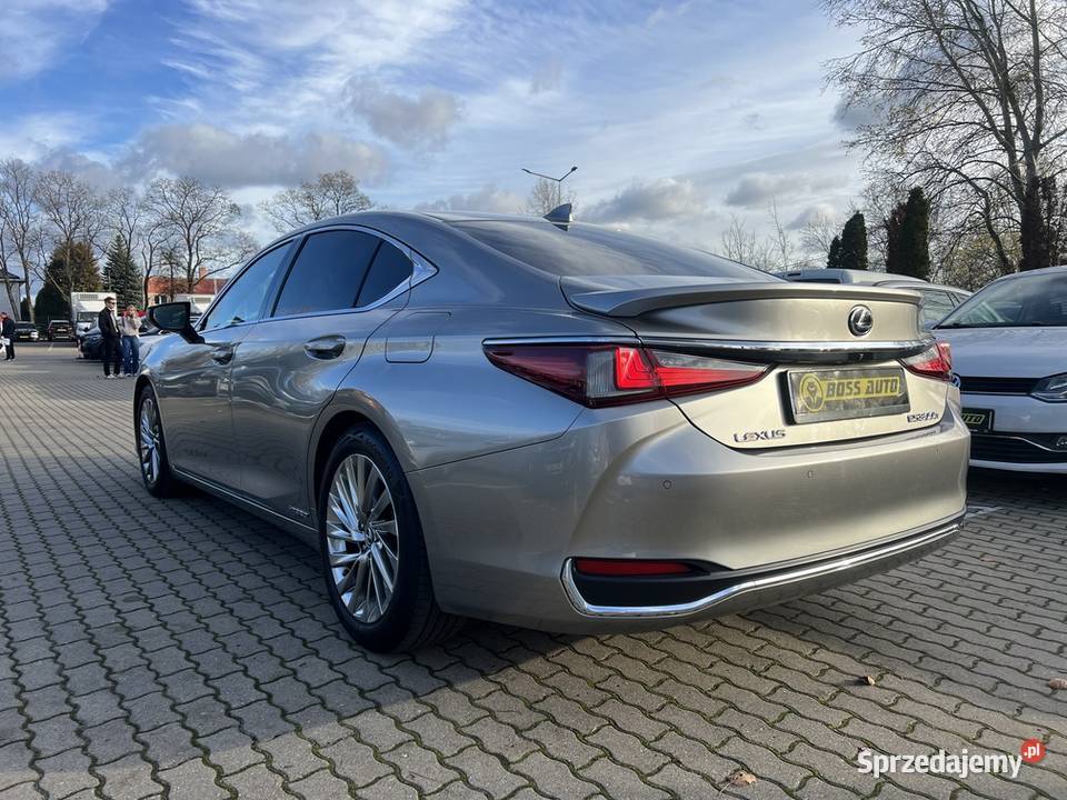 Lexus ES 300h 2019 Warszawa