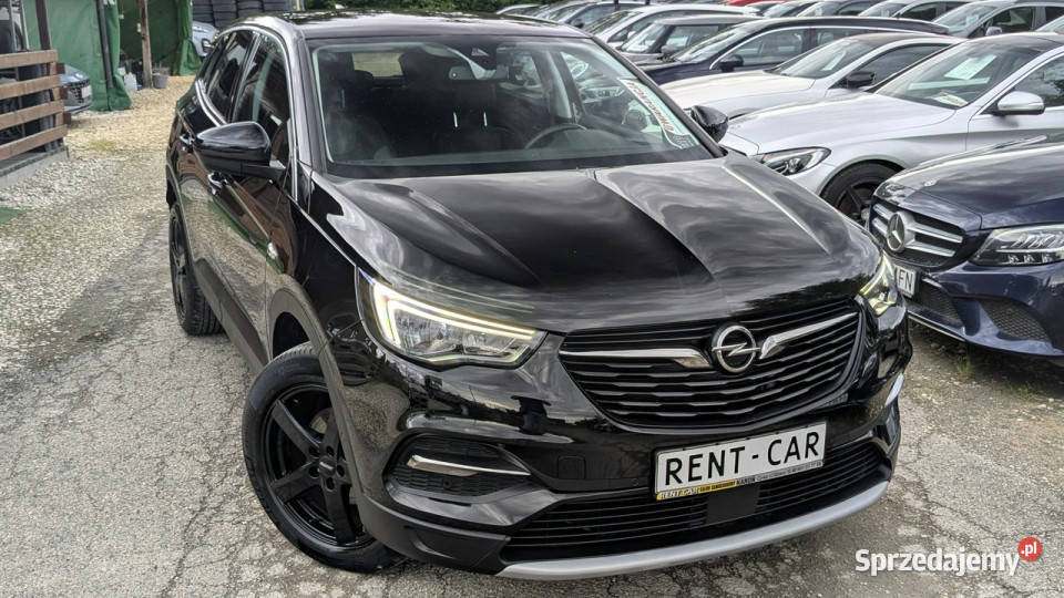 Opel Grandland X czujnik parkowania śląskie Częstochowa