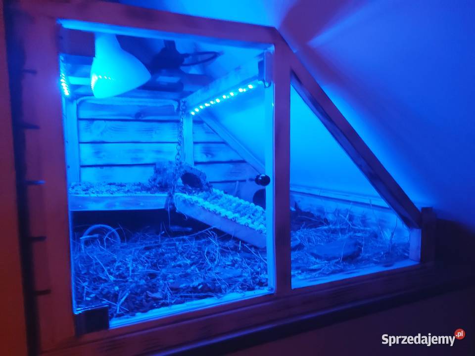 Terrarium na poddaszeskośne żółwia gekona węża Opole