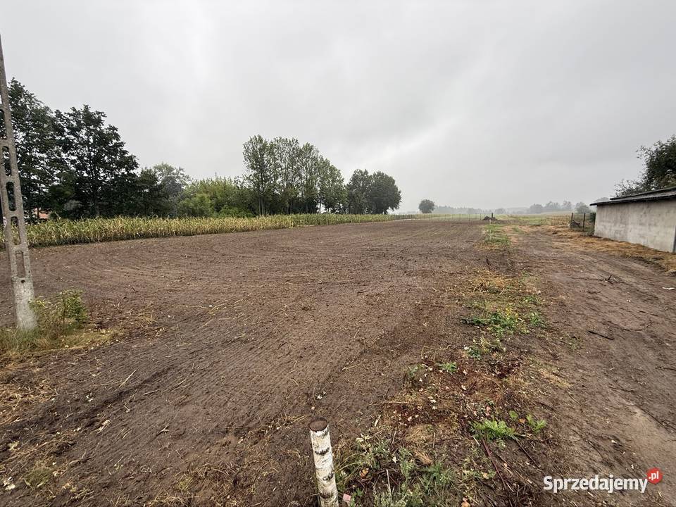 Działka budowlana 1500m Wrzeszczewice Łask budowlana