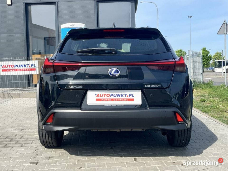 Lexus UX 2019r FV23 Kamera Alcantara wielkopolskie sprzedam