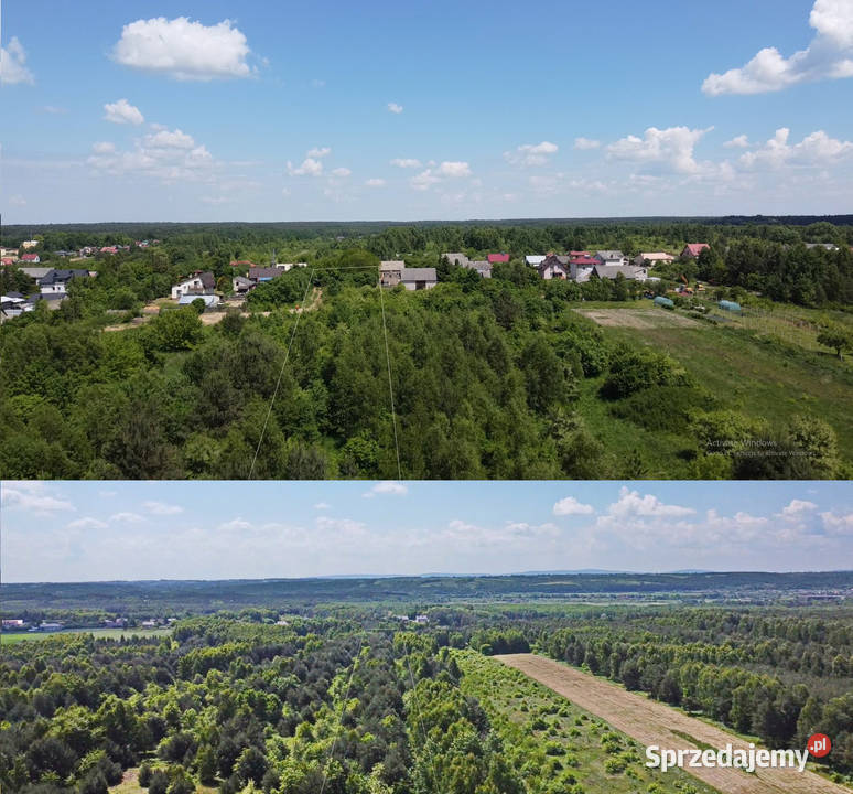Na sprzedaż działka 175 ha Janik gmina Kunów