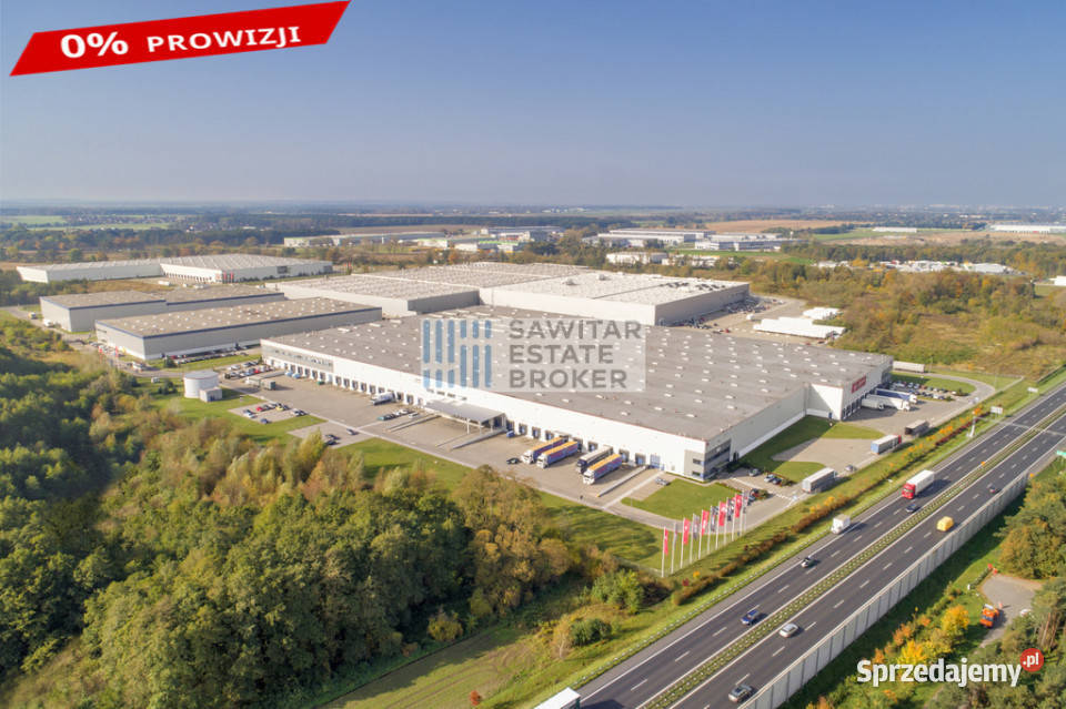 Hala klasy A S11 i A2 Gądki Bez Prowizji wielkopolskie sprzedam