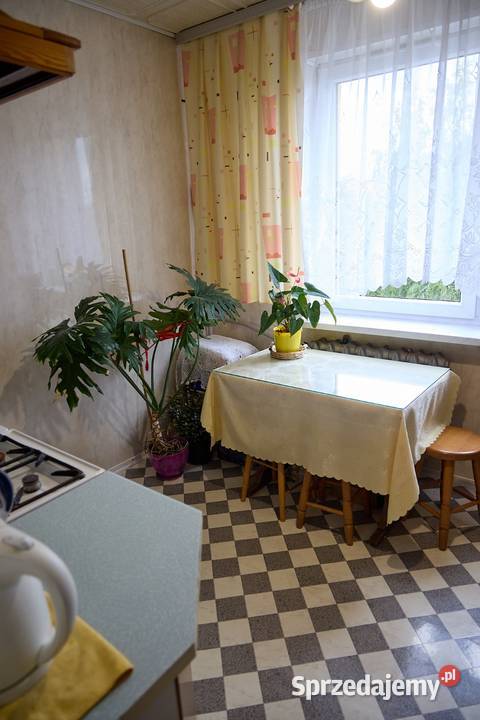 Mieszkanie 4 pokoje 80m2