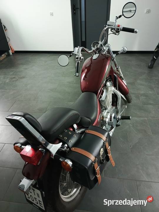 Suzuki Intruder 800 Cielęta