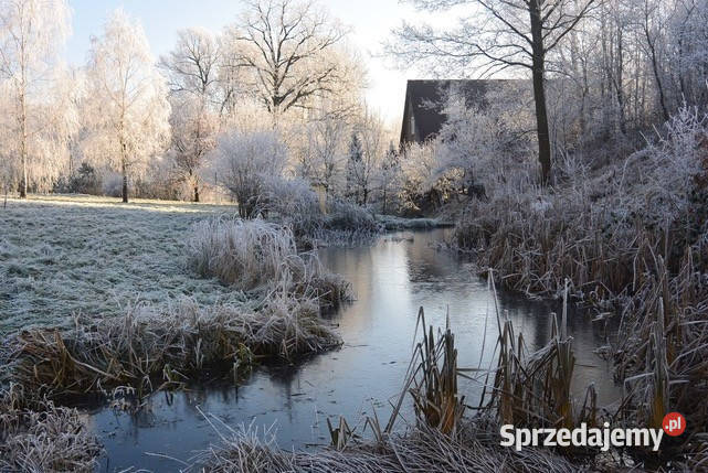 Sprzedam Dom w przepięknej w malowniczej Okolicy Domy Lubomierz