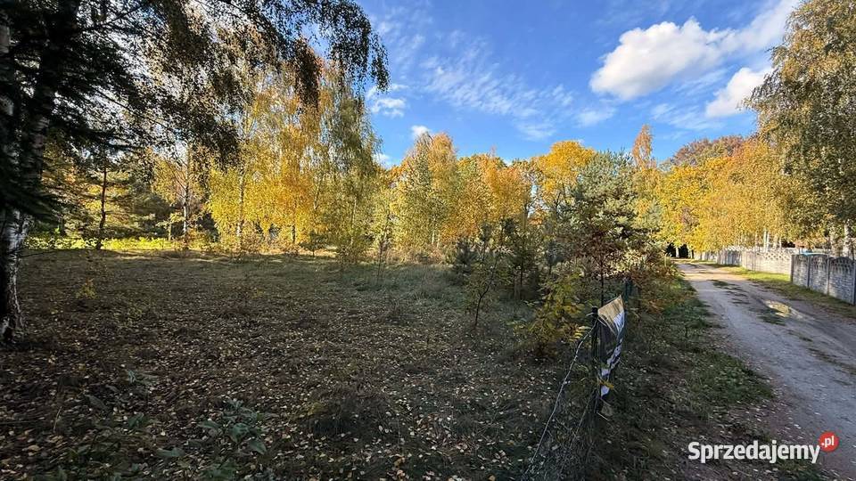 DZIAŁKA REKREACYJNA TUŻ JEZIORZE Tomiszewo wielkopolskie