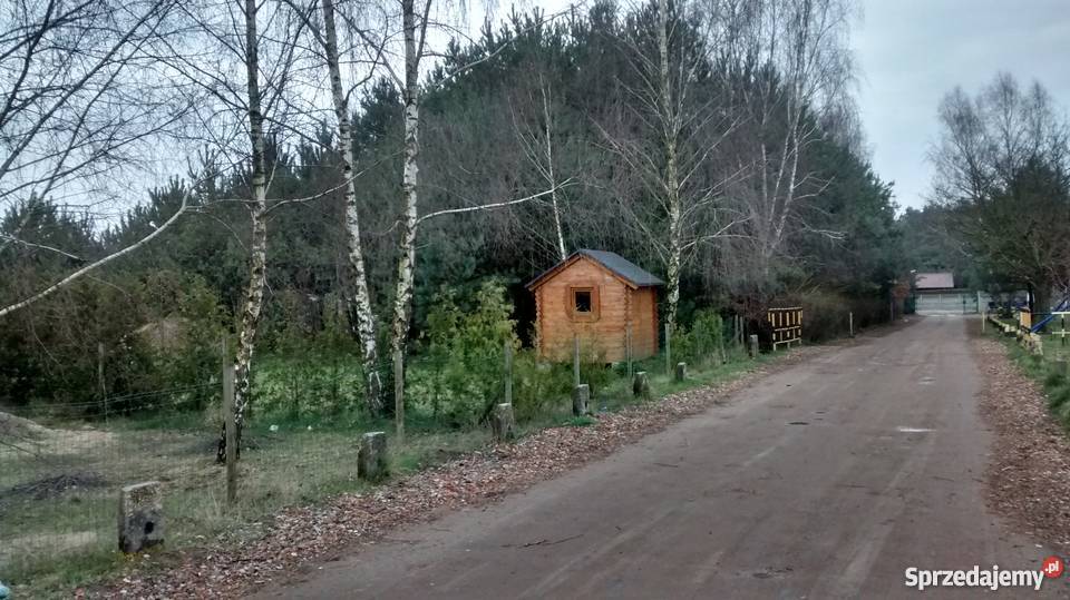 Działka ROD Sierosław II 15 Poznania Sierosław