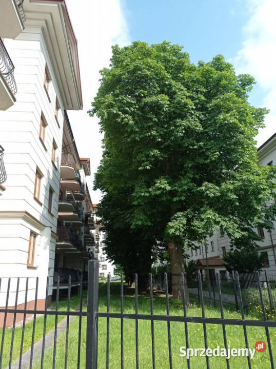 Mieszkanie dwupoziomowe Nadbystrzycka 72 Lublin Sprzedaż