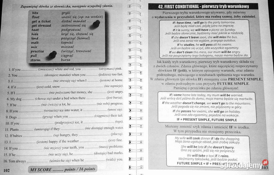 Mistrz angielskiego kurs kl 46 Piotr Dwornik Chełm sprzedam