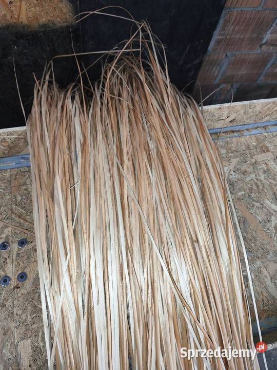 Taśma wiklinowa Rzeszów sprzedam