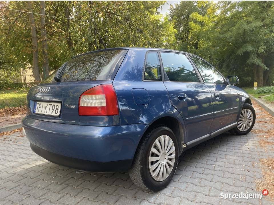 Audi A3 16B 102 2002 Rok produkcji 2002 świętokrzyskie Pińczów